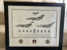 Raf marham 100 for sale  AYLESBURY