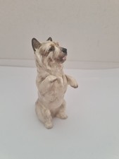 Cairn terrier begging for sale  FOLKESTONE