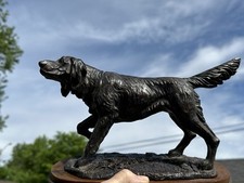 Setter hunting dog for sale  Owensboro