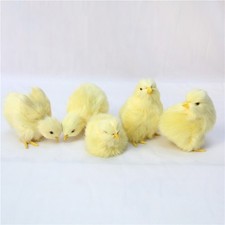 Ornement poulet décoration d'occasion  Expédié en France