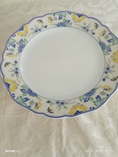 Hutschenreuther papillon speis gebraucht kaufen  Viersen
