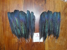 Usado, 30 PENAS DE CAUDA MAGPIE 5 a 6,5" NATIVE AMERICAN FLY TYING ART&CRAFT comprar usado  Enviando para Brazil
