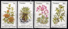 Transkei 1980 mnh gebraucht kaufen  Olpe