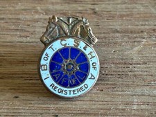 Teamsters tcw lapel for sale  Milwaukee