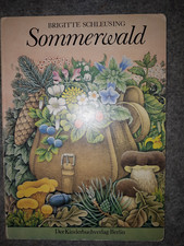 Sommerwald kinderbuchverlag dd gebraucht kaufen  Leipzig