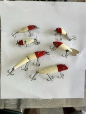 Creek chub pikie for sale  Riverview