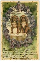 Dogs. 25.dachshund puppies d'occasion  Expédié en Belgium