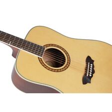 Chitarra acustica washburn usato  Sulmona