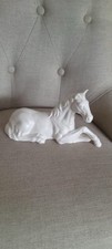 Horse white matte for sale  DUDLEY