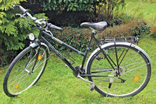 Trekking bike damen gebraucht kaufen  Langenburg