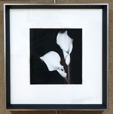 Framed photographic print for sale  Troy