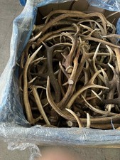 50kgs red deer for sale 50kgs red deer for sale  PERTH