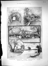 Old 1899 eel for sale Old 1899 eel for sale  UK