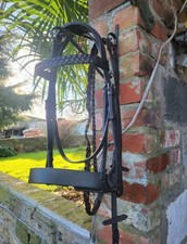 Havana hunter bridle for sale  YORK