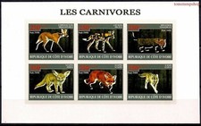 Animali carnivori grigio usato  Trambileno