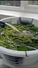 55cm large bowl for sale  BIRMINGHAM
