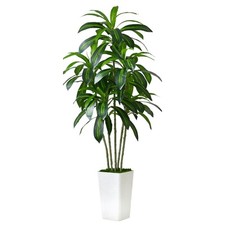 Artificial dracaena tree for sale  Brentwood