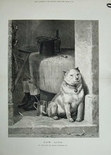 Antique old print for sale  UK