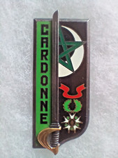 Insigne terre promo d'occasion  Saint-Denis-d'Anjou