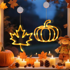 Decorazione autunnale per usato  Roma