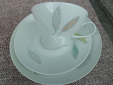 Teegedeck kaffegedeck rosentha gebraucht kaufen  Kirchheimbolanden