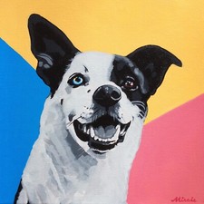 12x12 custom pet for sale  USA