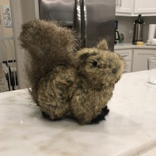 Woodland furry squirrel for sale  North Canton