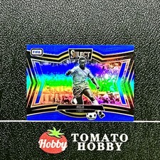 PANINI SELECT FIFA 2024-25 PELE REFRATOR AZUL NÍVEL DE CAMPO BRASIL comprar usado  Enviando para Brazil