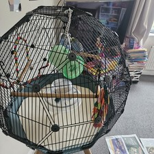 Omlet geo bird for sale Omlet geo bird for sale  LONDON