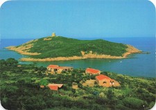 20a corse pinarello d'occasion  France