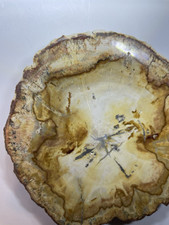 Top 111mm natural for sale  Herrin
