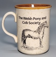 Vintage welsh pony for sale  GLENROTHES