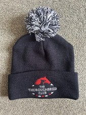 Thoroughbred club horse for sale  BURY ST. EDMUNDS