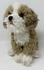 Bearington murphy maltipoo for sale  Rochester