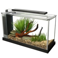 Fluval spec aquarium for sale  DARTFORD