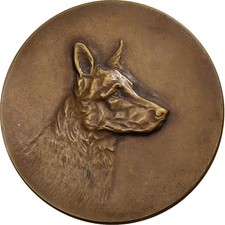 Médaille club chien d'occasion  Lille-