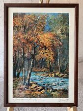 Quadro stampa paesaggio usato  Gussago