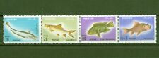 Pakistan 1973 fische gebraucht kaufen  Burgdorf