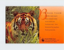 Postcard bengal tiger d'occasion  Expédié en Belgium