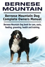 Bernese mountain. bernese for sale  ROSSENDALE