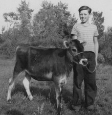 1950s farmer calf for sale  Mission