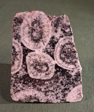 Diorite orbiculaire corse d'occasion  Marseille VII