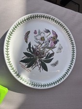 Portmerion dinner plate.helebo for sale  NEWARK