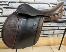 Wide native pony for sale  LLANGOLLEN