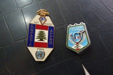 Insignes finul compagnie d'occasion  Grasse