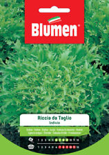 Blumen. semi indivia usato  Italia