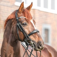 Kandare sonya schwed gebraucht kaufen  Gröbers