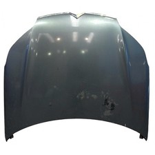 Cofano anteriore citroen usato  Pratola Peligna