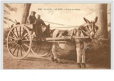 17.ile re. bois. d'occasion  Expédié en Belgium