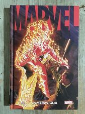 Meraviglia marvel alex usato  Vallo della Lucania